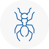 Ant Removals In Knottingley