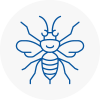 Knottingley Hornet Nest Removals