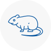 Rat Control Knottingley