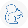 Knottingley Rodent Removals