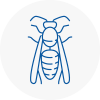 Knottingley Wasp Nest Removal